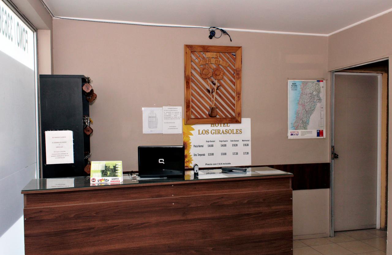 Hotel Girasoles Copiapó Buitenkant foto